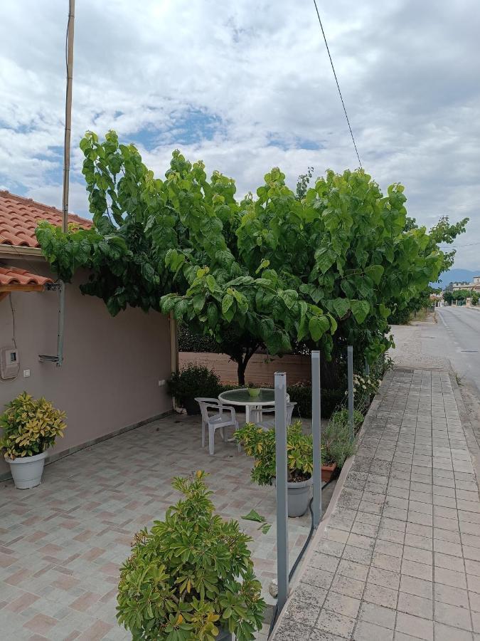 Chrysa'S House Apartment آيجيون المظهر الخارجي الصورة