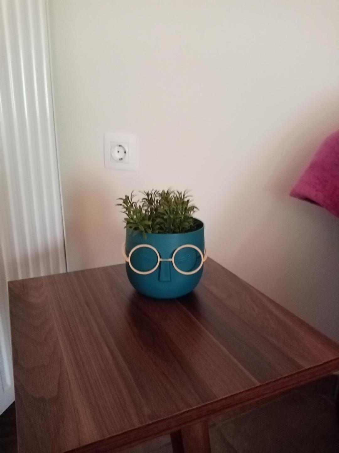 Chrysa'S House Apartment آيجيون المظهر الخارجي الصورة