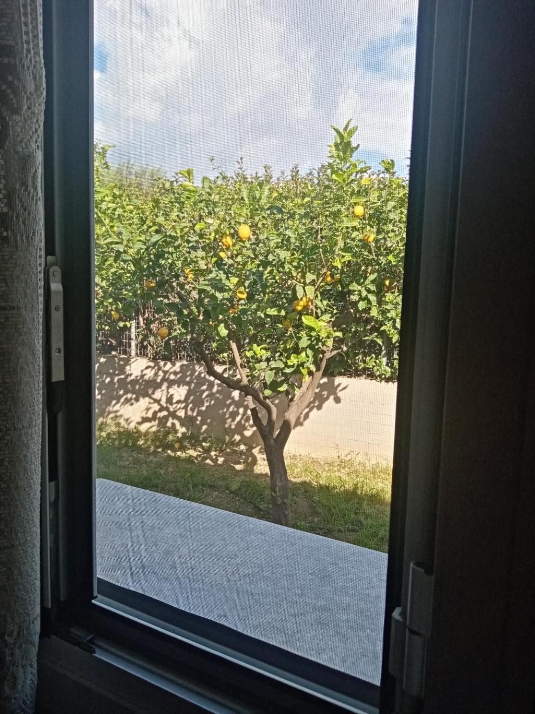Chrysa'S House Apartment آيجيون المظهر الخارجي الصورة